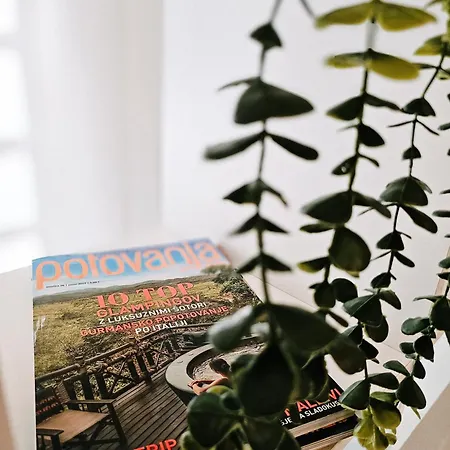 Astina Апартаменты Копер